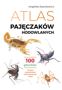 Atlas pajęczaków hodowlanych. 100 gatunków - Angelika Dawidowicz - książka