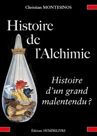 Histoire de l'alchimie, histoire d'un grand malentendu ? - Christian Montesinos - ebook
