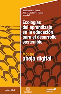 Ecologías del aprendizaje en la educación para el desarrollo sostenible - René Pedroza Flores - ebook