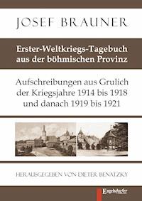 Erster-Weltkriegs-Tagebuch aus der böhmischen Provinz - Josef Brauner - ebook