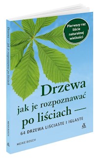 Drzewa - jak je rozpoznawać po liściach - Bosch Meike - książka