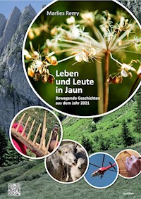 Leben und Leute in Jaun - Marlies Remy - ebook