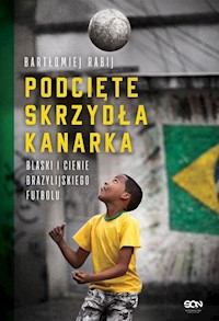 Podcięte skrzydła kanarka - Bartłomiej Rabij - książka