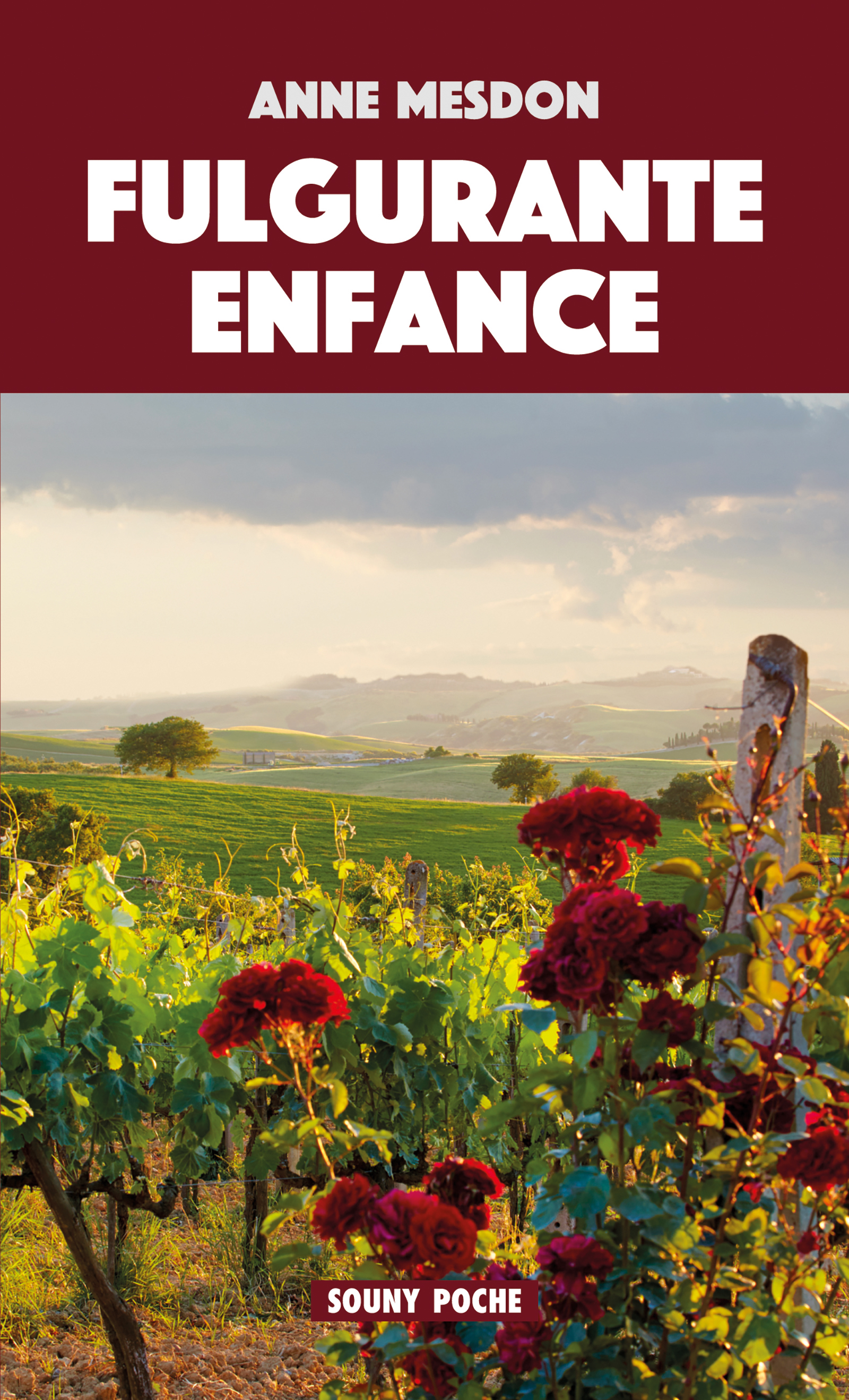 Fulgurante enfance - Anne Mesdon - ebook