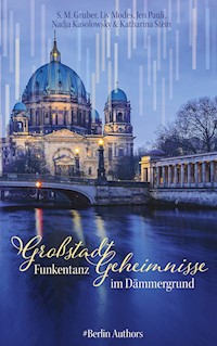 Großstadtgeheimnisse -  - ebook