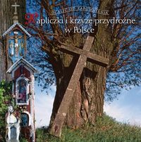 Kapliczki i krzyże przydrożne - Czerwiński Tomasz - książka