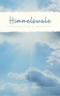 Himmelswale - M. M. Völker - ebook