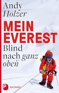 Mein Everest - Andy Holzer - ebook