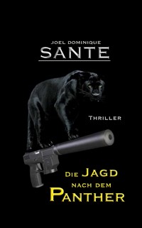 Tom Daenzer - Joel Dominique Sante - ebook