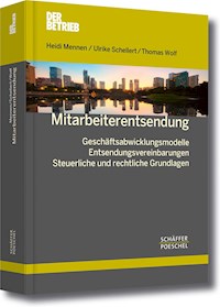 Mitarbeiterentsendung - Heidi Mennen - ebook