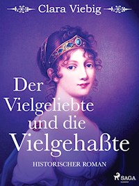 Der Vielgeliebte und die Vielgehaßte - Clara Viebig - ebook