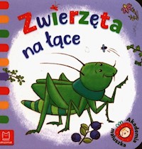 Akademia maluszka Zwierzęta na łące - Podgórska Anna - książka