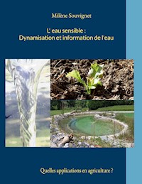 L'eau sensible : Dynamisation et information de l'eau - Milène Souvignet - ebook