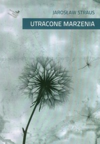 Utracone marzenia - Straus Jarosław - książka