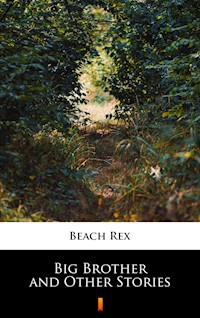 Big Brother and Other Stories - Rex Beach - ebook
