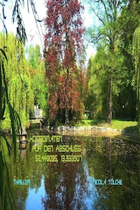 Koordinaten für den Abschuss 52.448095, 13.333907 - Nicolà Tölcke - ebook
