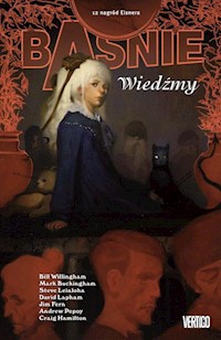 Wiedźmy Tom 14 -  - książka