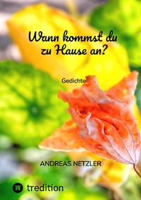 Wann kommst du zu Hause an? - Andreas Netzler - ebook