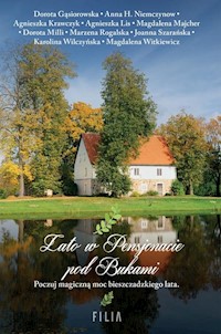 Lato w Pensjonacie pod Bukami - Gąsiorowska Dorota, Rogalska Marzena, Witkiewicz Magdalena, Krawczyk Krawczyk, Milli Dorota, Lis Aga - książka