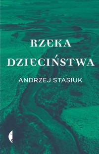 Rzeka dzieciństwa - Andrzej Stasiuk - ebook + audiobook + książka