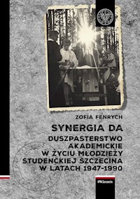 Synergia DA - Fenrych Zofia - książka