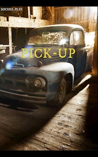 Pick-up - Michel Plès - ebook
