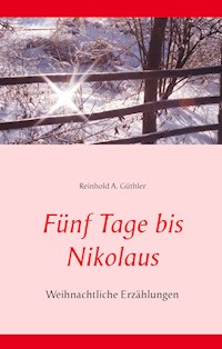 Fünf Tage bis Nikolaus - Reinhold A. Güthler - ebook