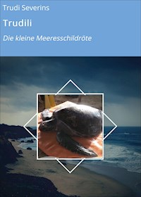 Trudili - Trudi Severins - ebook