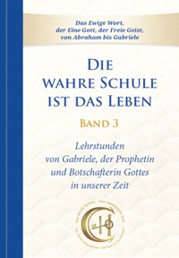 Die wahre Schule ist das Leben - Band 3 - Gabriele, Dipl. Ing. Höller - ebook