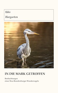 In die Mark getroffen - Udo Hargarten - ebook