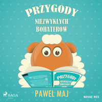 Przygody niezwykłych bohaterów - Paweł Maj - audiobook + książka
