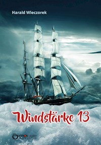 Windstärke 13 - Harald Wieczorek - ebook