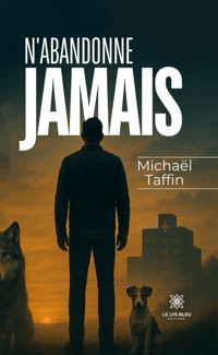 N’abandonne jamais - Michaël Taffin - ebook