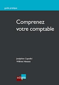 Comprenez votre comptable - Joséphine Capodici - ebook
