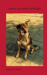 Honey, ein rechter Schlingel! - Gudy de la Roche - ebook