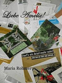 Liebe Amelie! EINS - Maria Rohmer - ebook