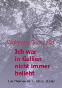Ich war in Gallien nicht immer beliebt - Wolfgang Tschapka - ebook