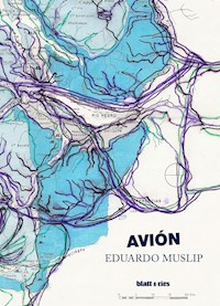 Avión - Eduardo Muslip - ebook