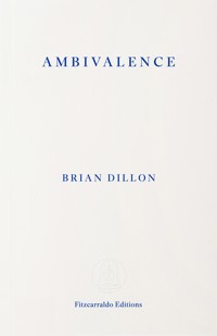 Ambivalence - Brian Dillon - ebook