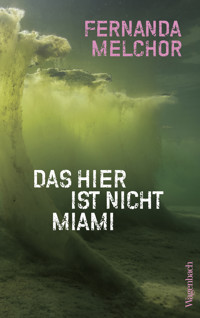 Das hier ist nicht Miami - Melchor Fernanda - ebook
