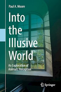 Into the Illusive World - Paul A. Moore - ebook