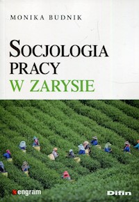 Socjologia pracy w zarysie - Budnik Monika - książka