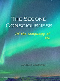 The Second Consciousness - Christian Hermenau - ebook