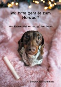 Wo bitte geht es zum Nordpol? - Simone Bretschneider - ebook