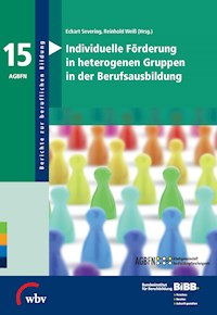 Individuelle Förderung in heterogenen Gruppen in der Berufsausbildung -  - ebook