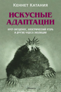 Искусные адаптации - Кеннет Катания - ebook