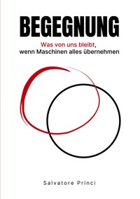 Begegnung - Salvatore Princi - ebook
