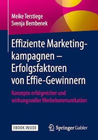 Effiziente Marketingkampagnen – Erfolgsfaktoren von Effie-Gewinnern - Meike Terstiege - ebook