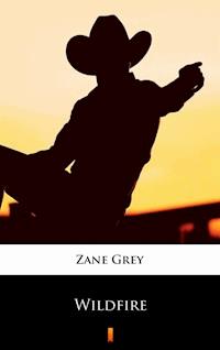 Wildfire - Grey Zane - ebook