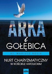 Arka i Gołębica - Mariusz Rosik - książka